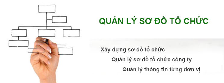 Quản lý sơ đồ tổ chức